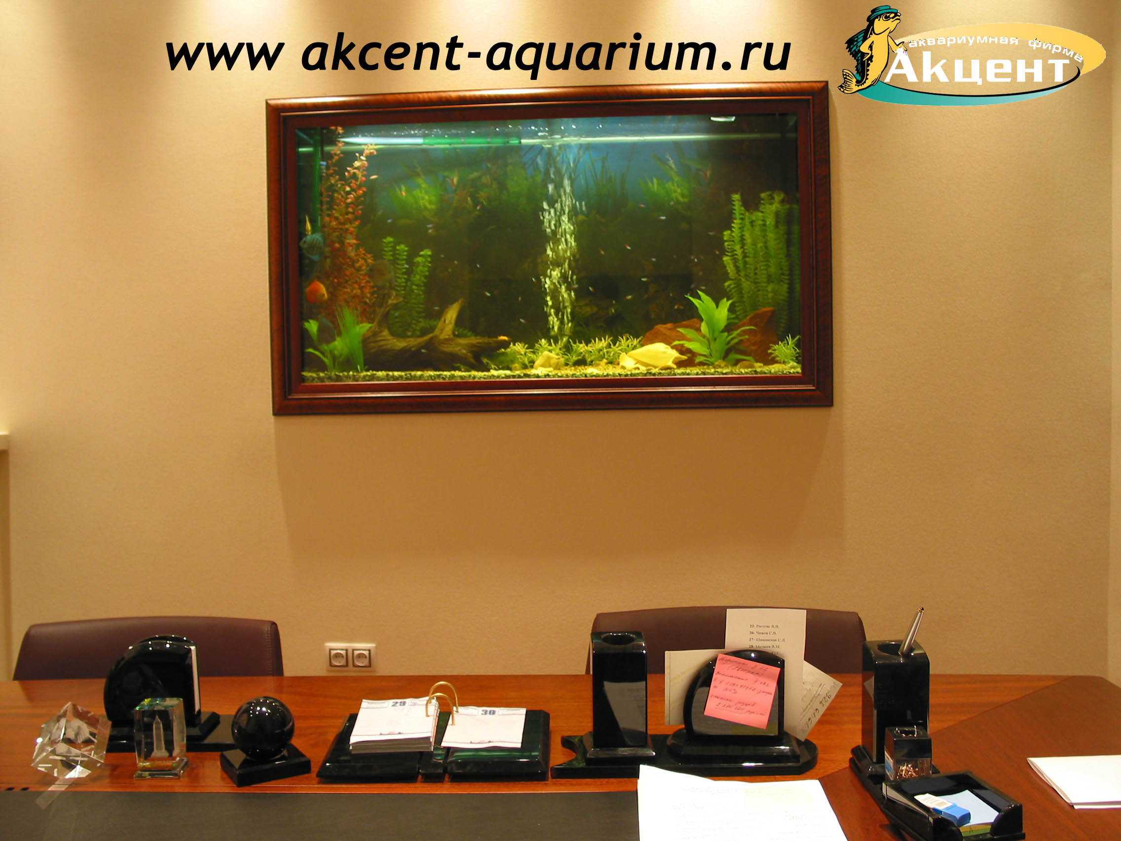 Акцент-аквариум, аквариум 600 встроенный в стену